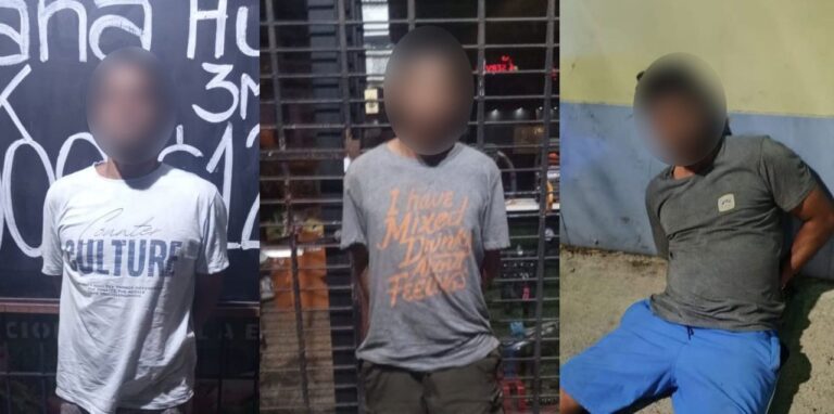 Detuvieron a los “hombres araña” en Villa Urquiza: treparon una terraza para desvalijar una vivienda