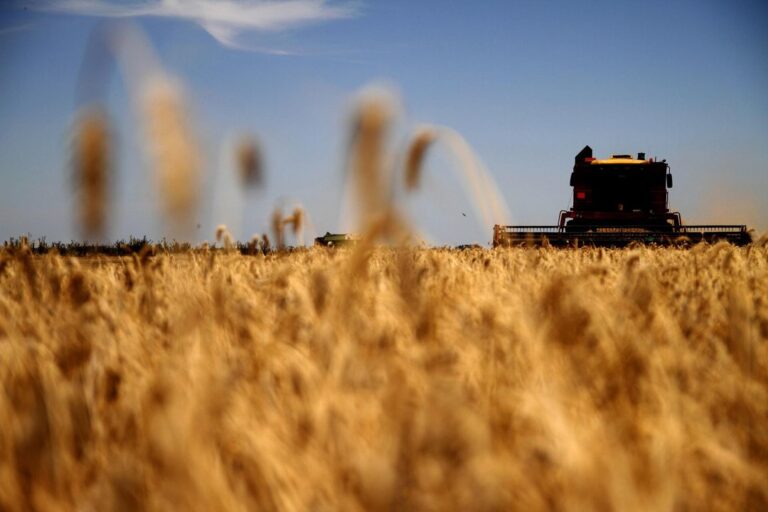 Nuevo récord del agro: en enero exportó productos por más de USD 4 millones