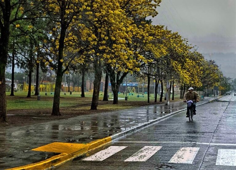 Tras la tormenta, siguen las lluvias y baja la temperatura en Tucumán