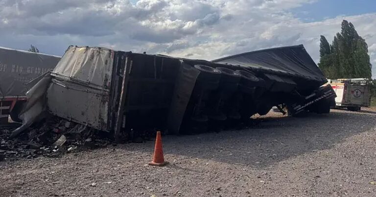 «Dale, manoteá»: una influencer grabó el saqueo a un camión de aceite de oliva en Mendoza