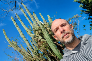 ¡Atención, fanáticos de los cactus y las suculentas! En Tafí Viejo dictarán un taller para ustedes